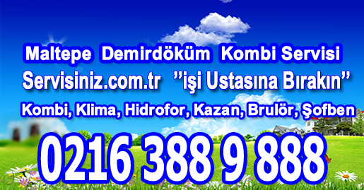 Maltepe Demirdöküm Kombi Servisi